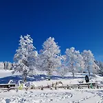 Holiday home Altes Zollhuesli Schluchsee