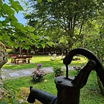 Holiday home Altes Zollhuesli Schluchsee