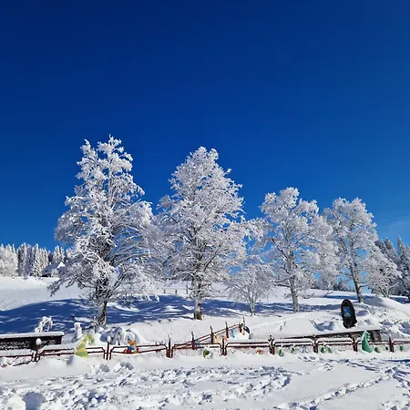 Nyaraló Altes Zollhuesli Schluchsee