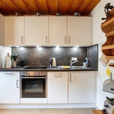 Altes Zollhuesli Holiday home *
