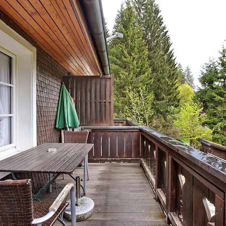 Holiday home Altes Zollhuesli Schluchsee
