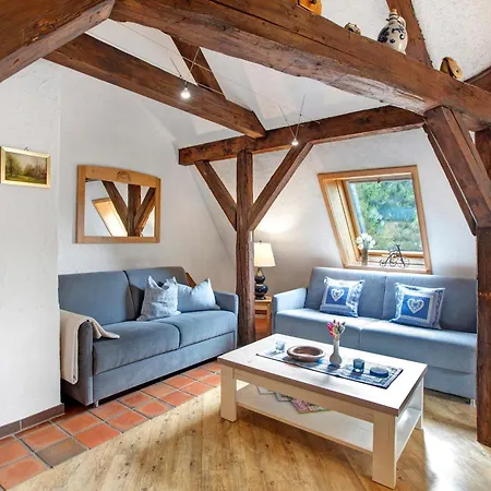 Altes Zollhuesli Holiday home Schluchsee