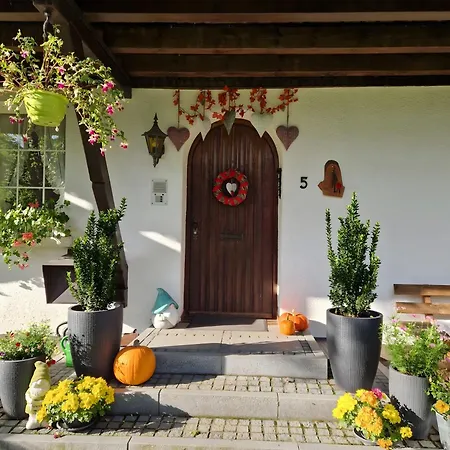 Altes Zollhuesli Holiday home Schluchsee