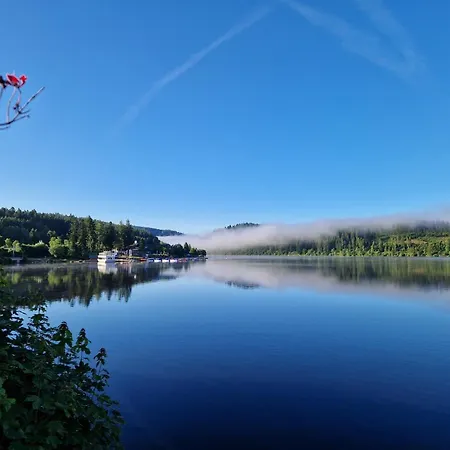 Holiday home Altes Zollhuesli Schluchsee