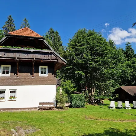 Altes Zollhuesli Holiday home *