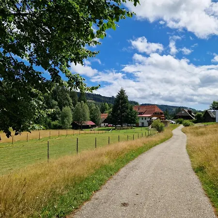 Holiday home Altes Zollhuesli Schluchsee