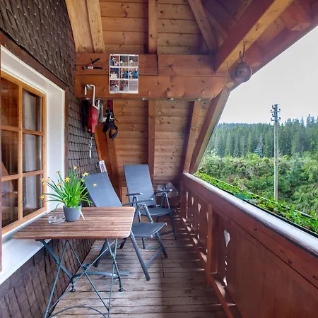 Altes Zollhuesli Casa vacanze Schluchsee